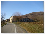 12003