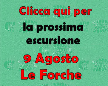 avviso