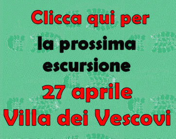 avviso